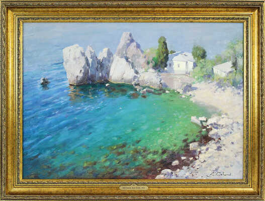 Севагин Дмитрий Петрович. Бухта Чехова 